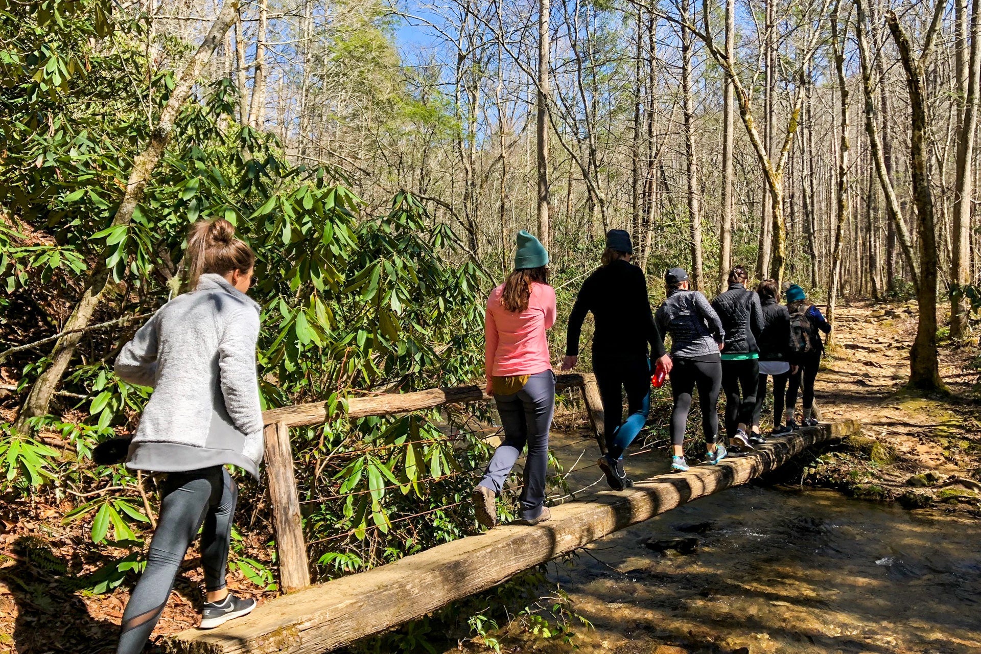 Hiking trail in the Great Smoky Mountains