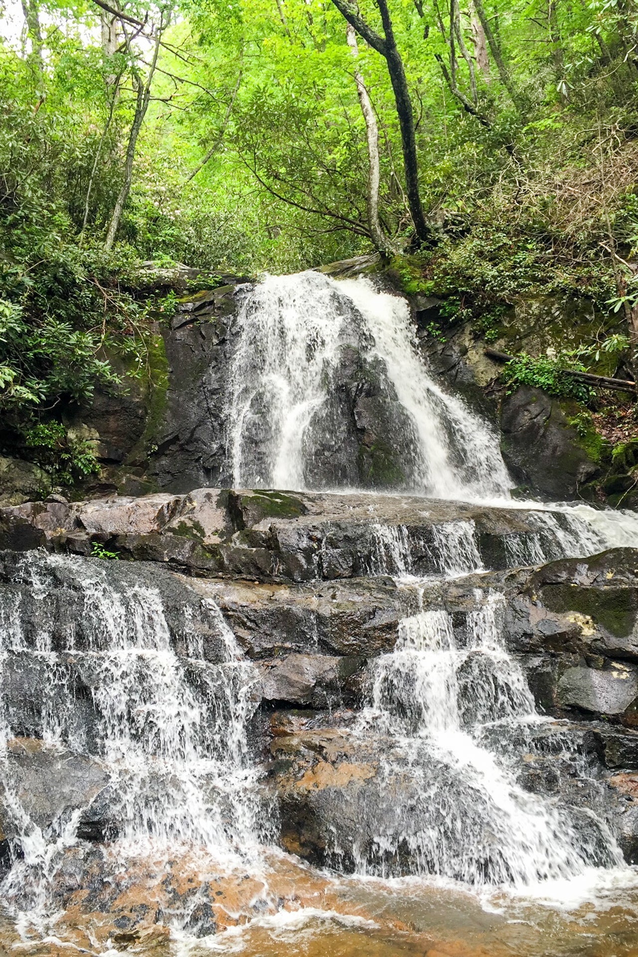 10 Best Waterfall Hikes In The Smoky Mountains Beautiful Waterfalls In Great Smoky Mountains National Park Tennessee North Carolina