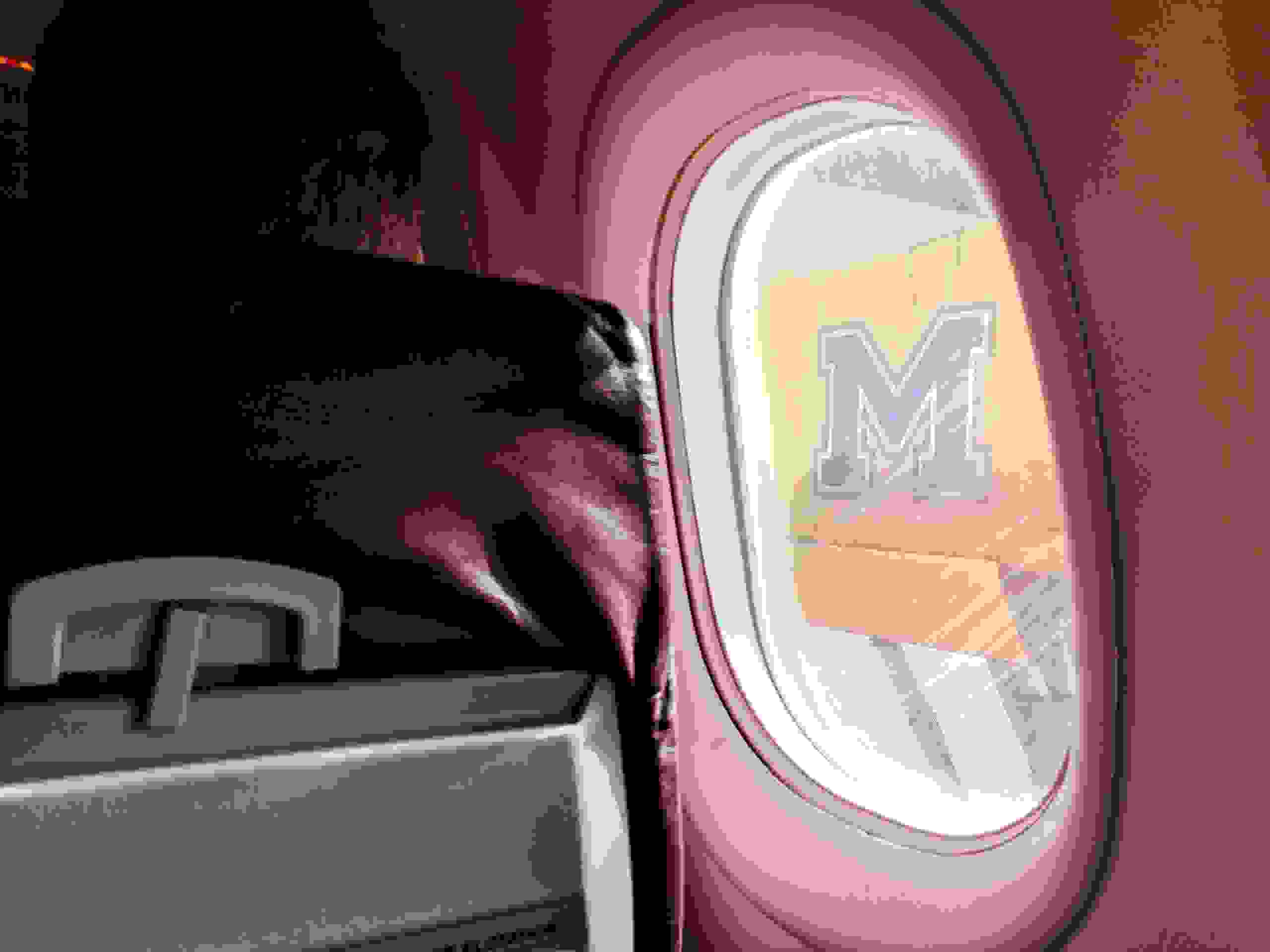 I enjoyed the commemorative livery for this plane, featuring the Montana State University Bobcats logo.