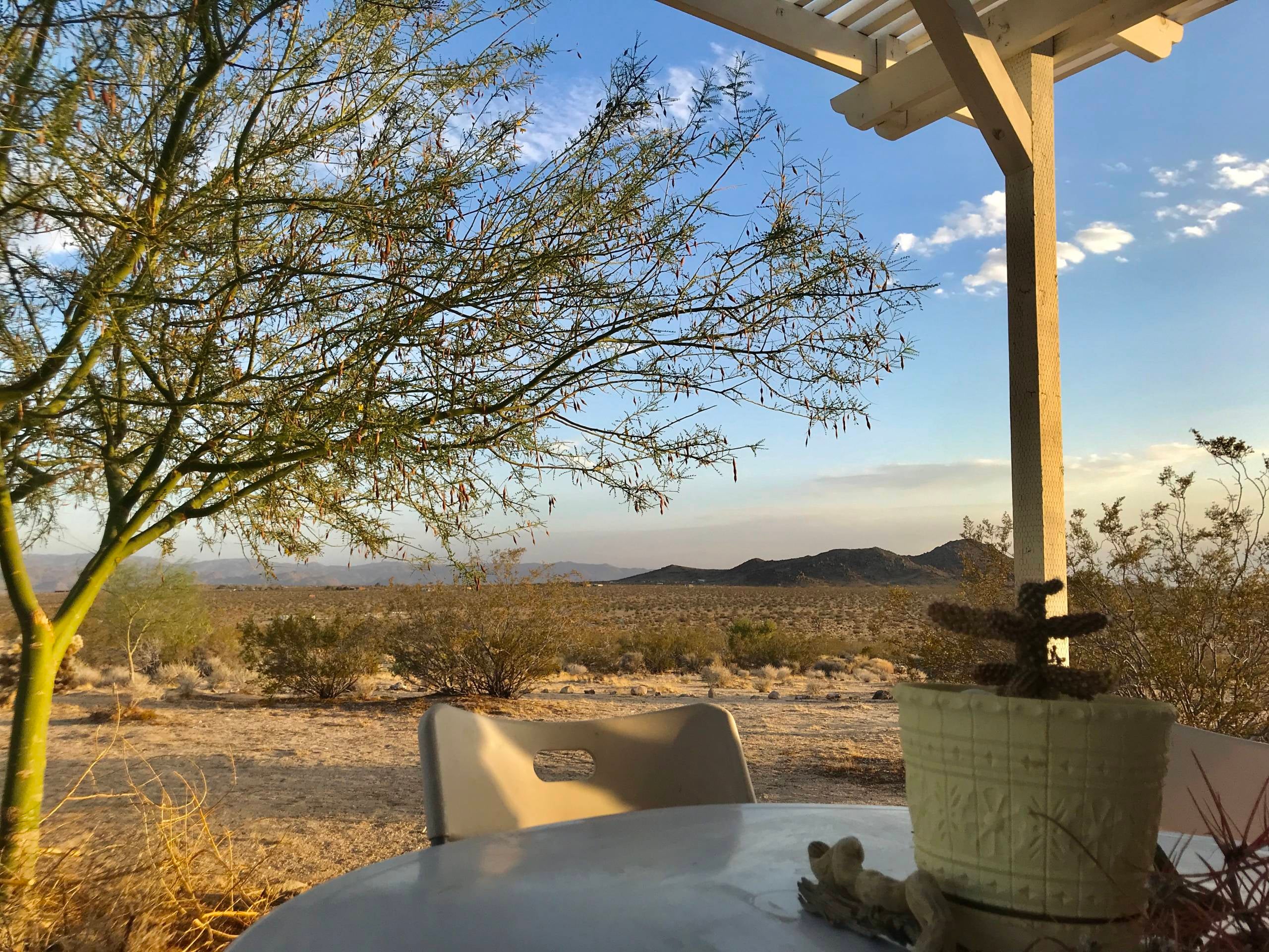 A view from an Airbnb near Joshua Tree National Park (Photo by Chris Dong / The Points Guy)