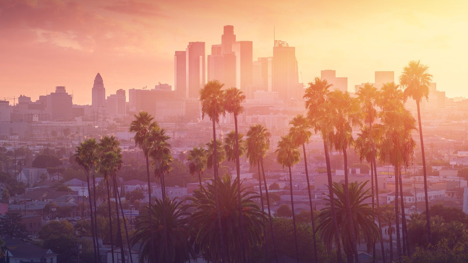 Los Angeles hot sunset view with palm tree and downtown in background. California, USA