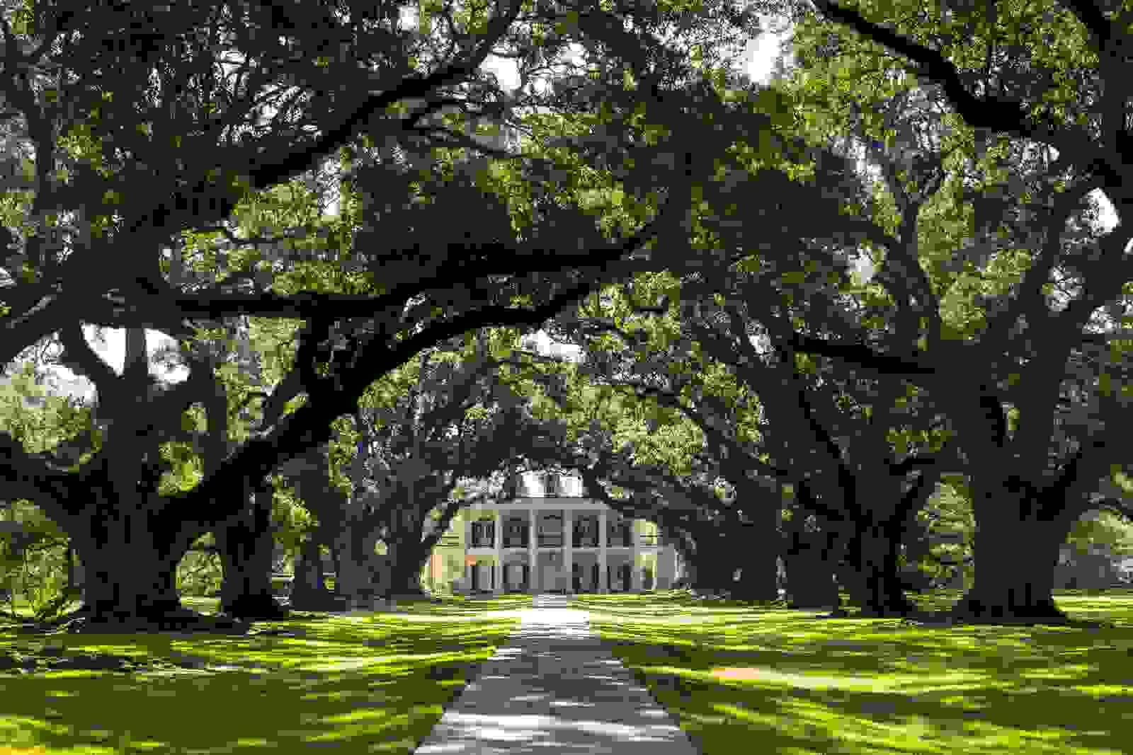 Oak Alley Plantation in Vacherie, Louisiana. (Photo by Tim Graham/Getty Images)