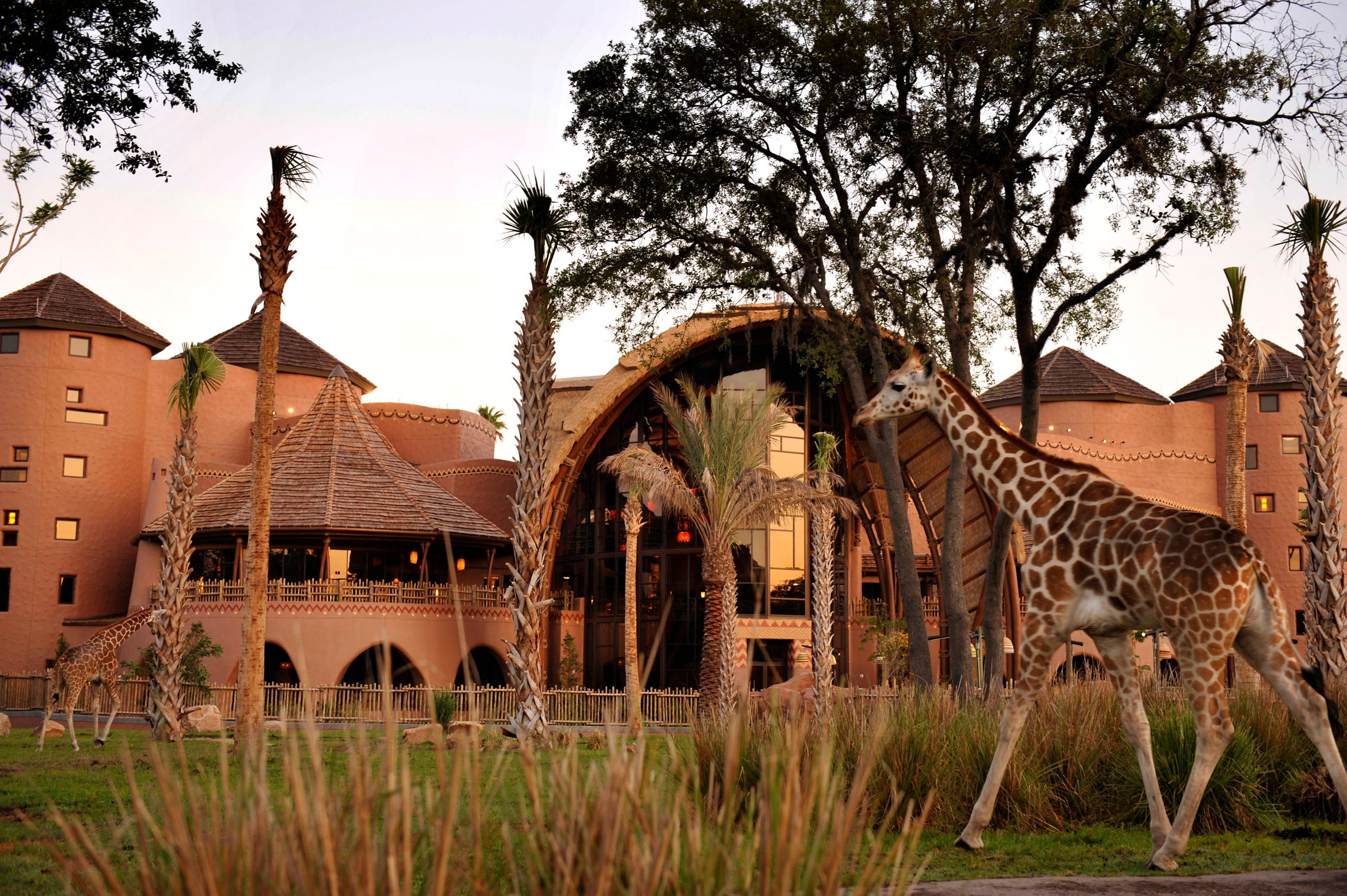 Animal Kingdom Lodge DVC Villa