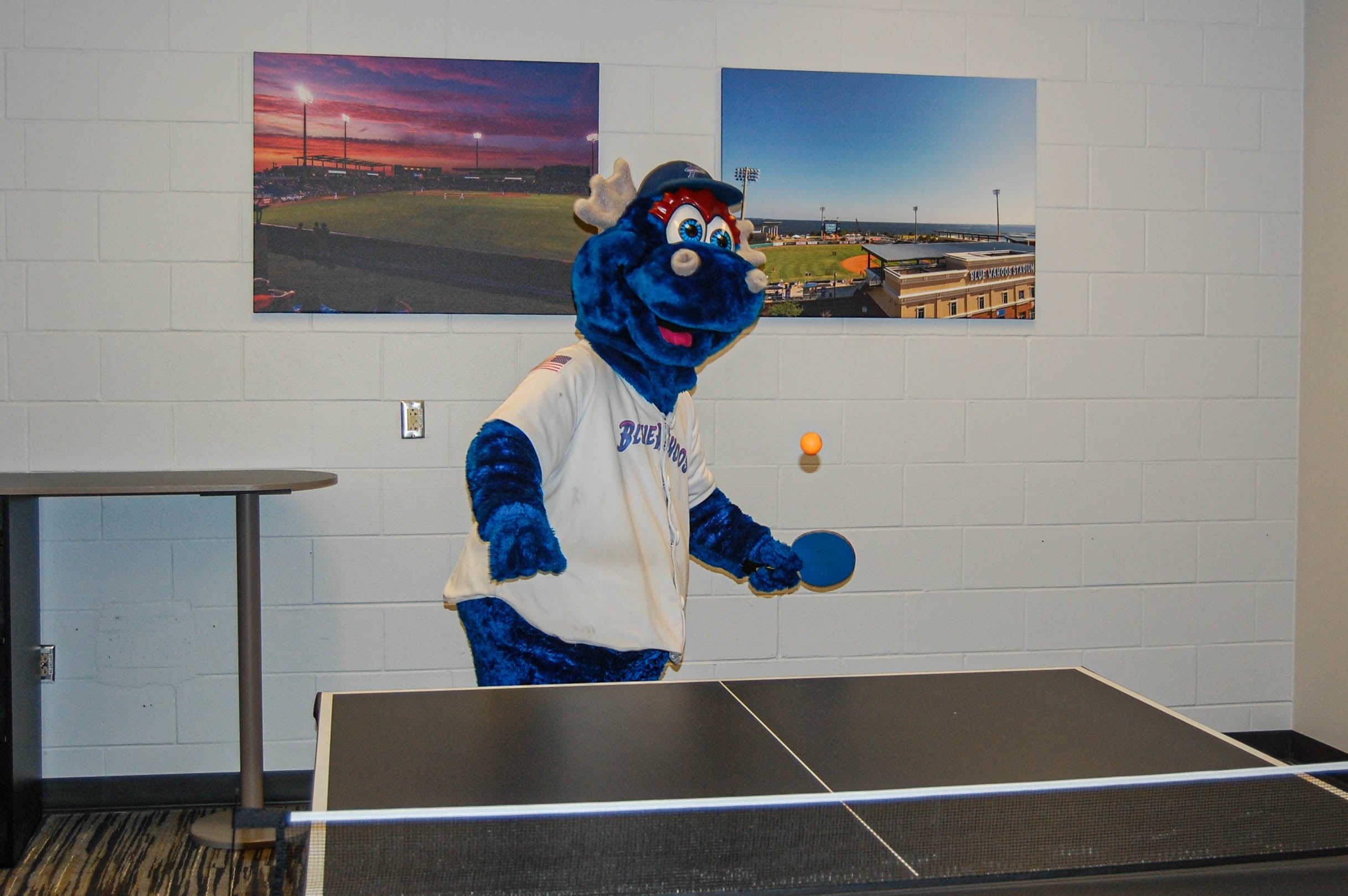 Pensacola Blue Wahoos
