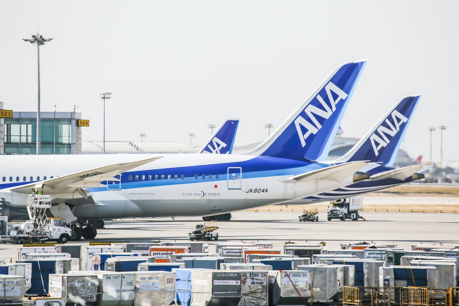 ANA Planes Lined Up at PEK Airport