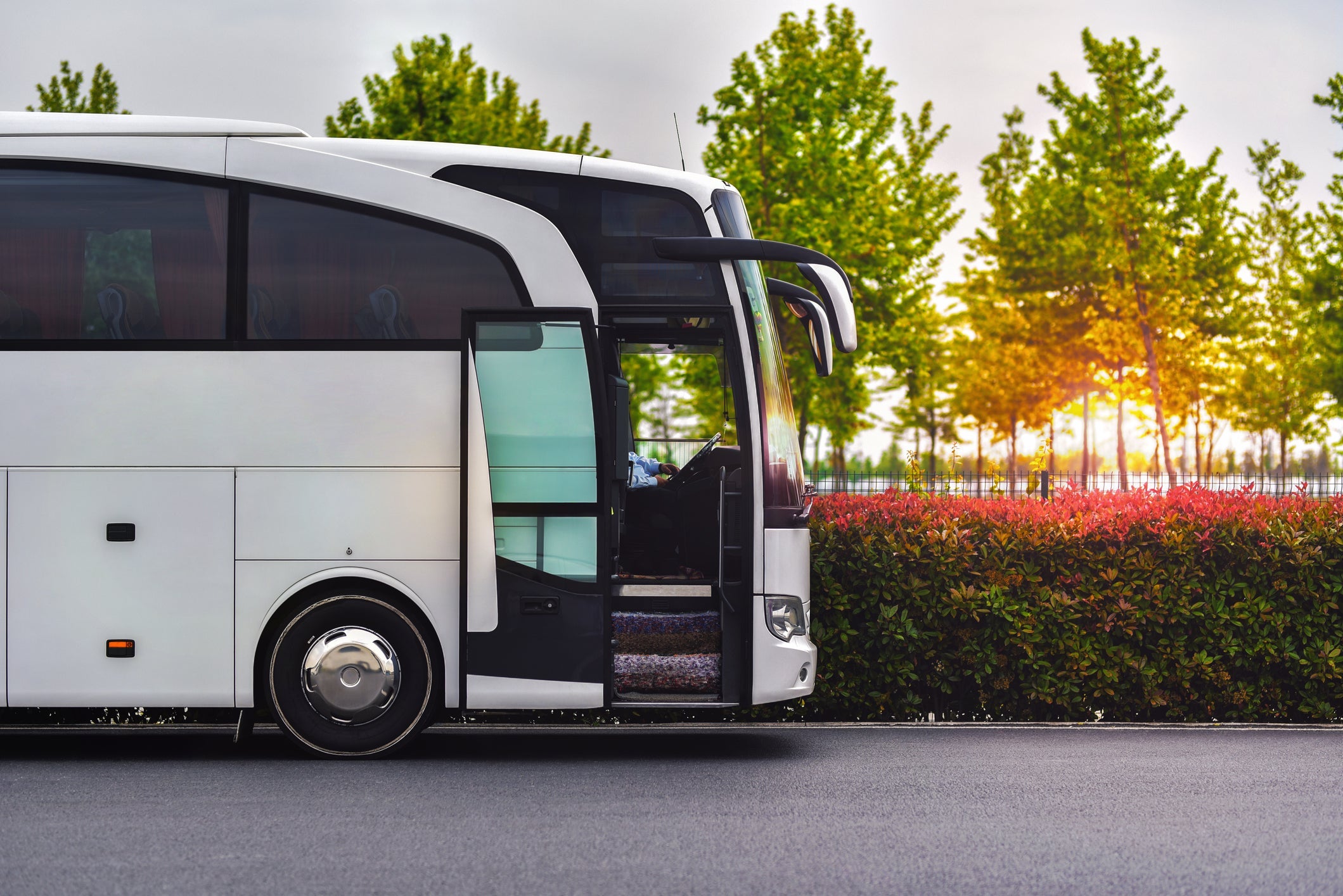 Cruise line bus transfer