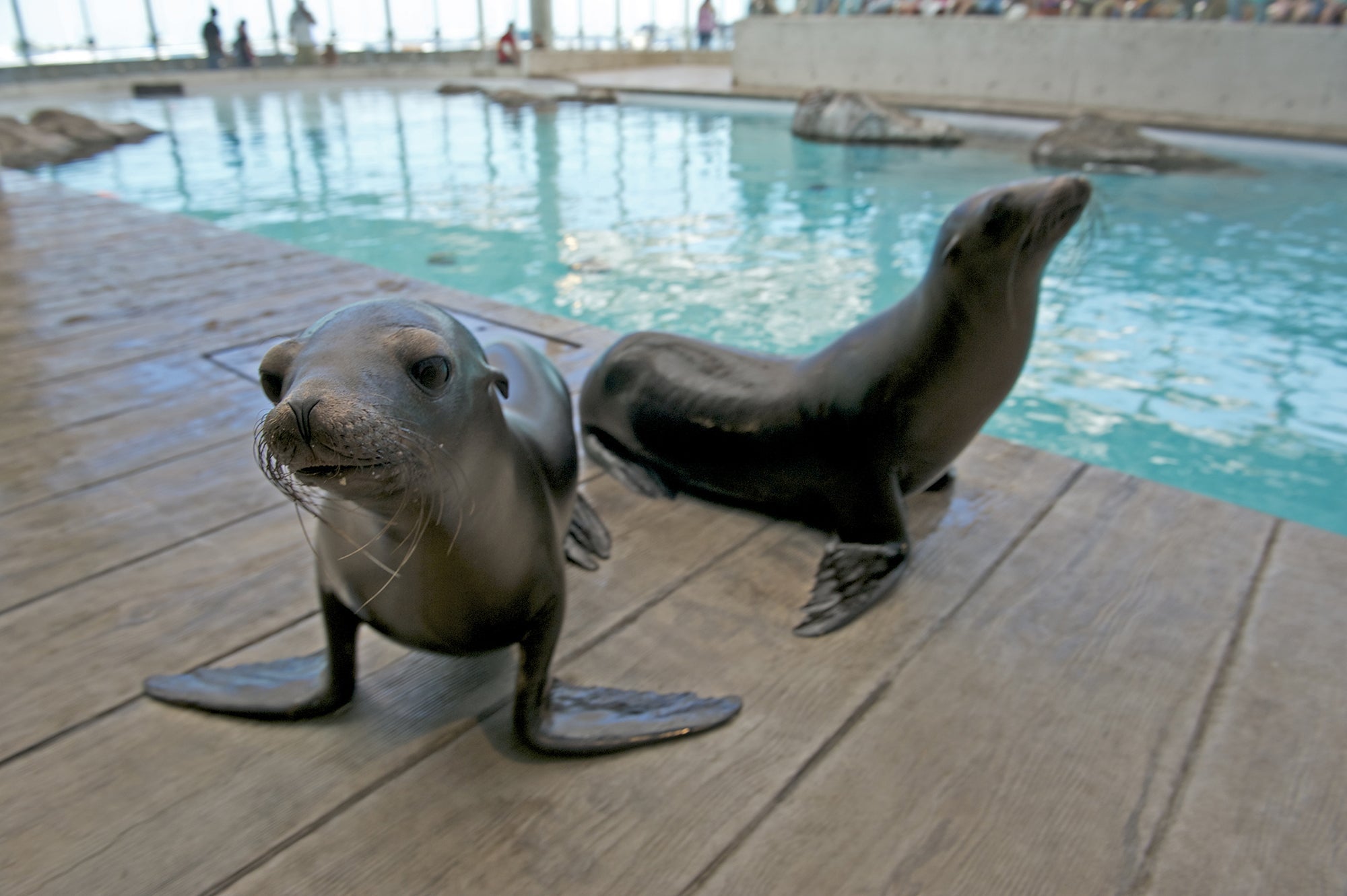 New England Aquarium Boston Massachusetts