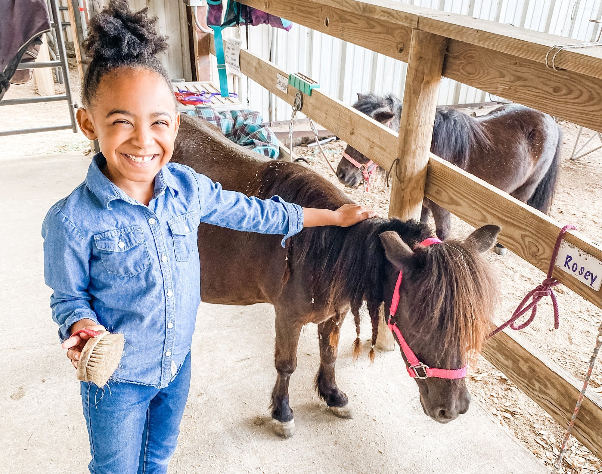 Paloma Trails, Houston, Texas