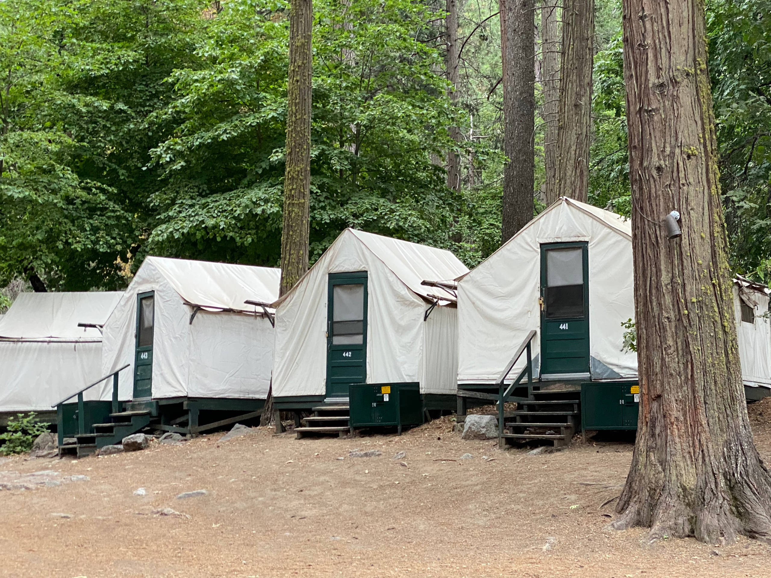 Yosemite Curry Village Tent Cabins
