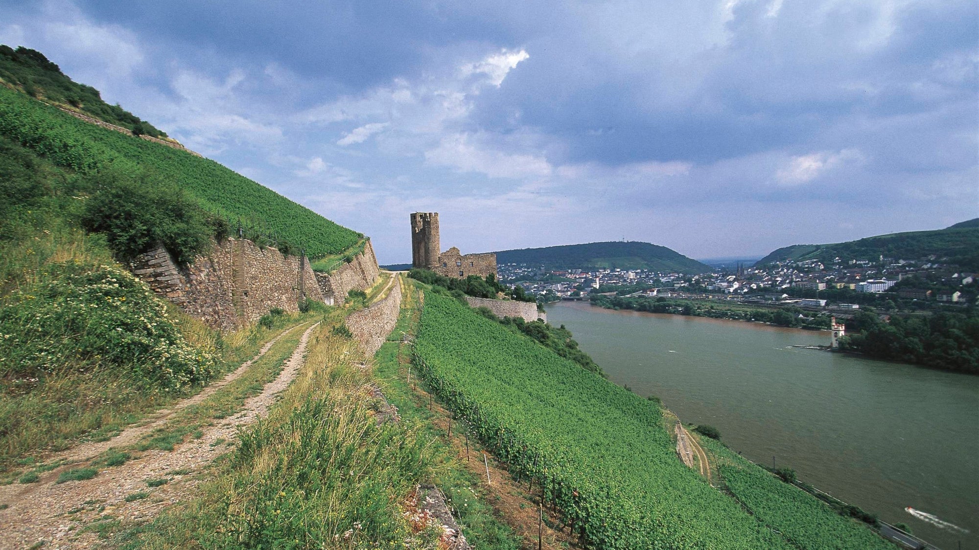 Ehrenfels Castle, 1212, Rudesheim am Rhein