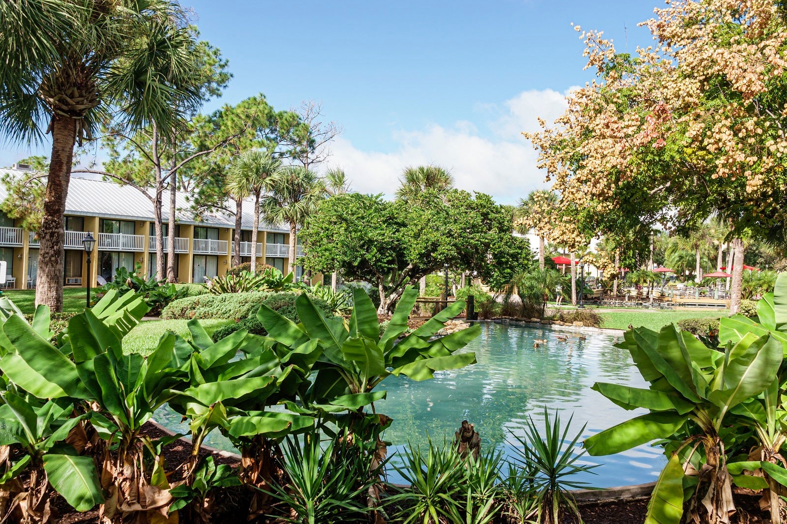 Wyndham Orlando Resort International Drive, hotel grounds