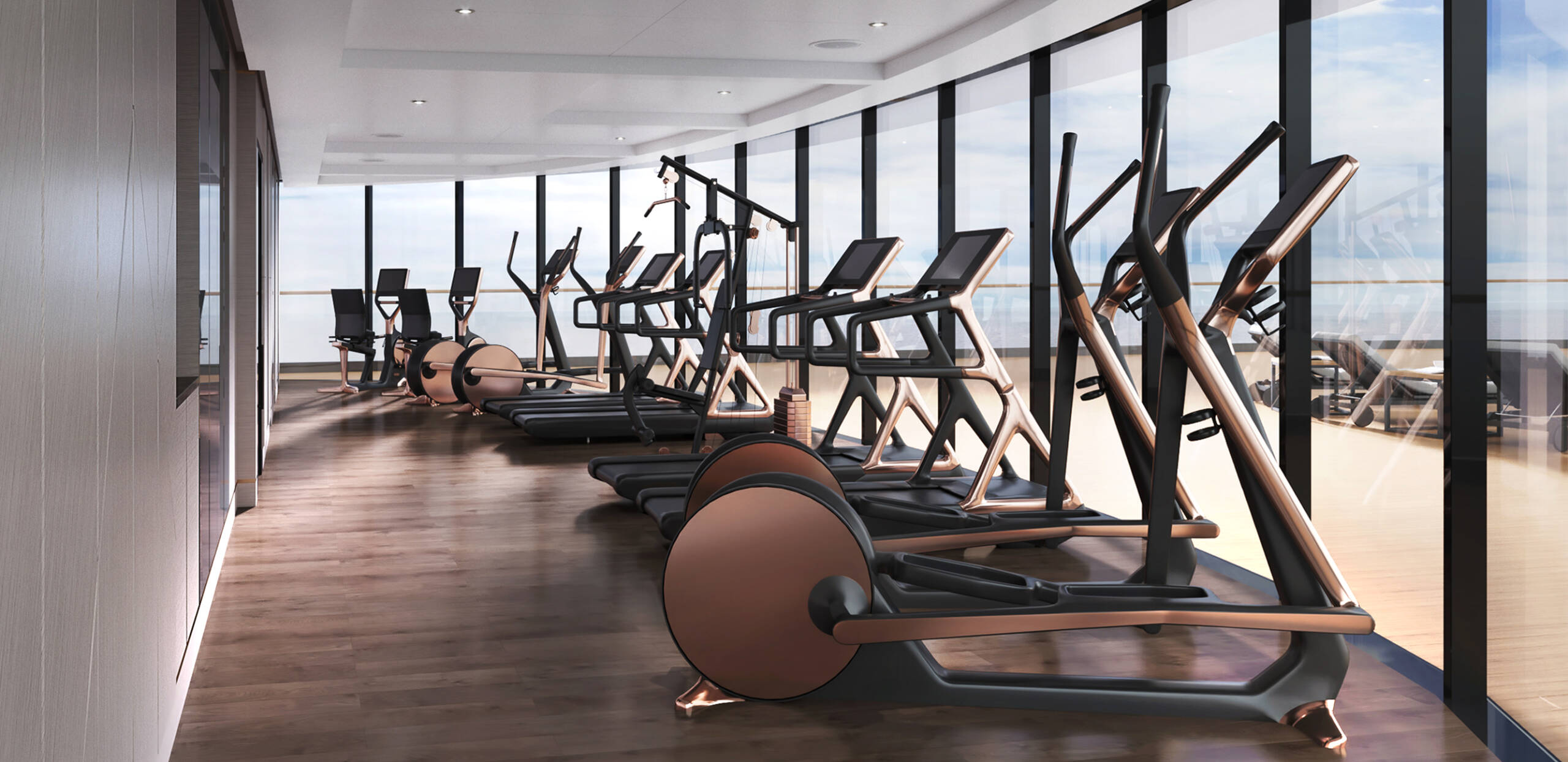 Ritz-Carlton Evrima gym
