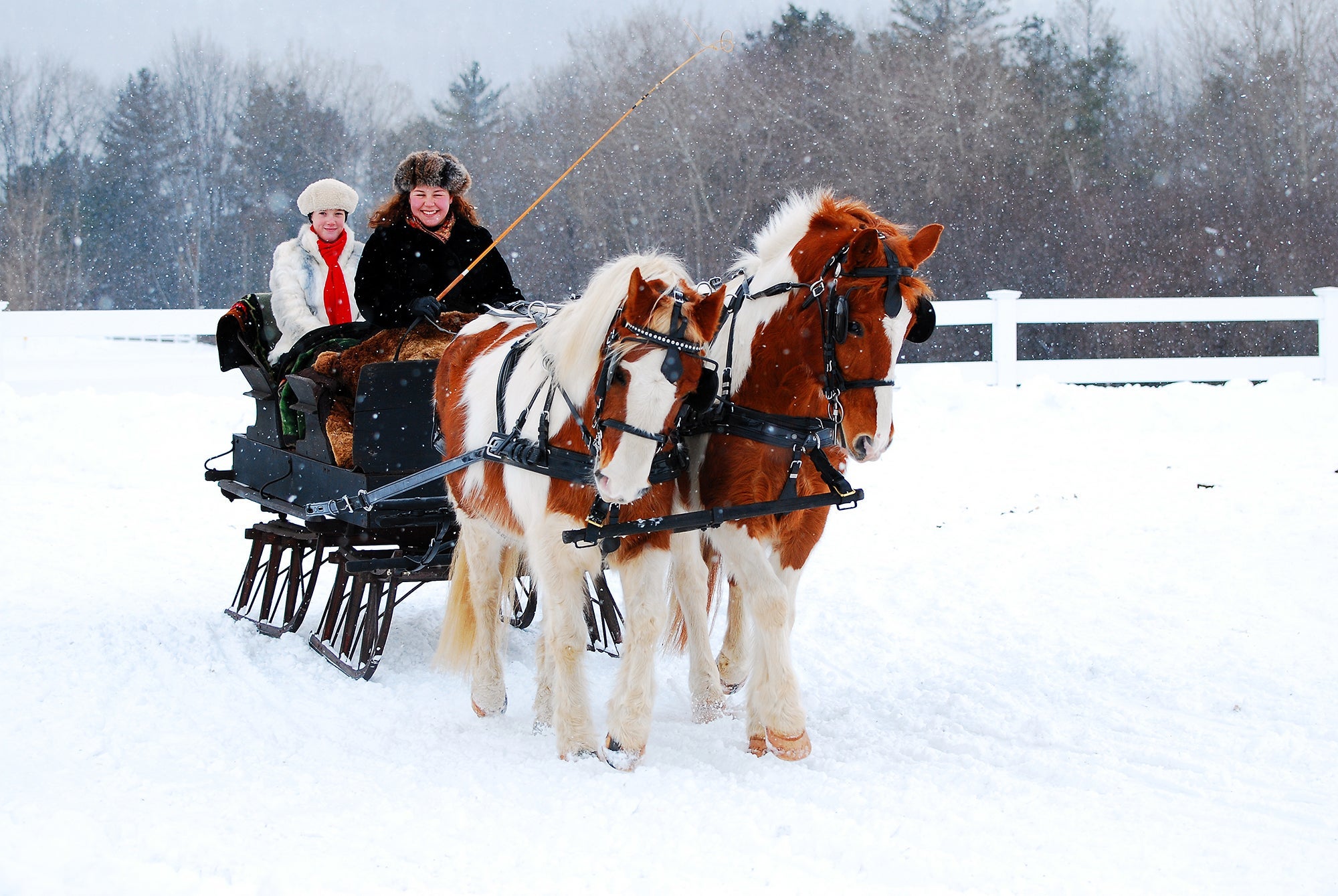 sleigh ride Stockbridge, Massachusetts Berkshires