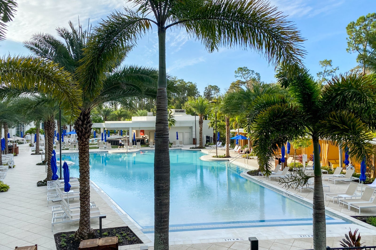 a hotel pool surrounded by palm trees