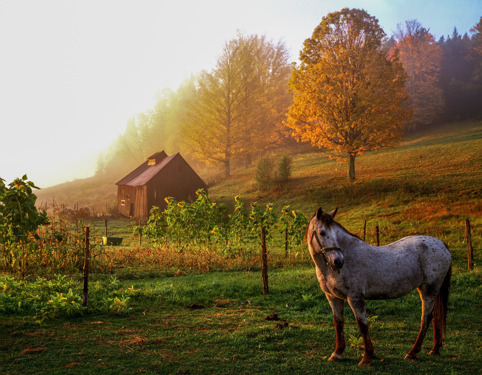Vermont