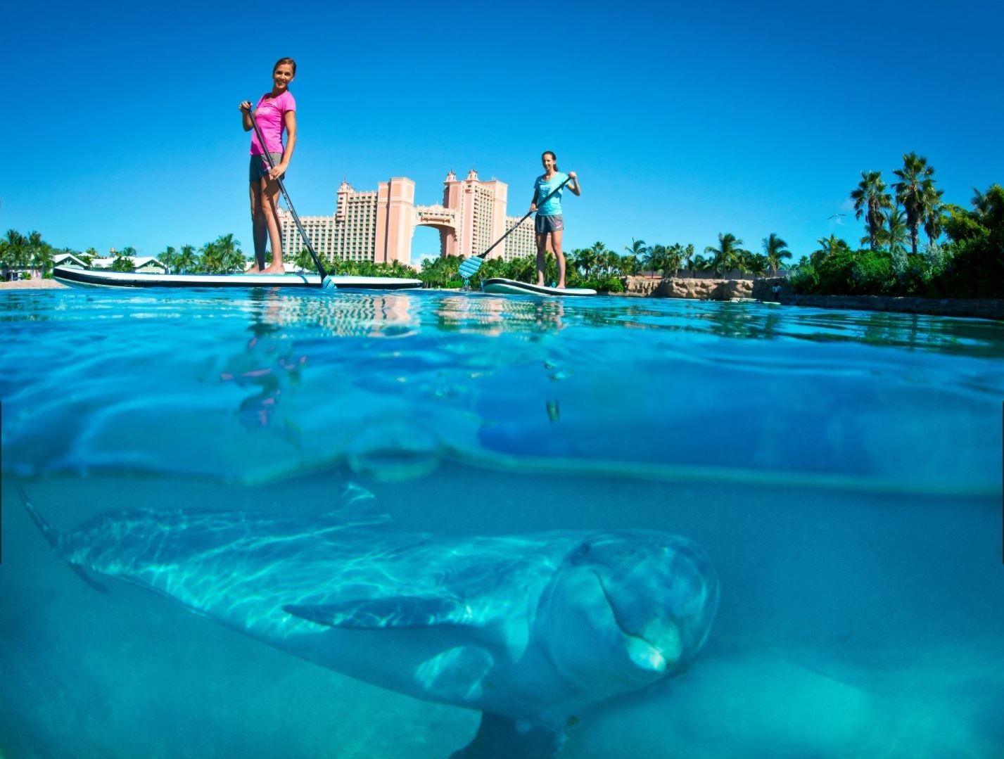 Paddle boarding at Dolphin Cay, Atlantis Paradise Island Bahamas