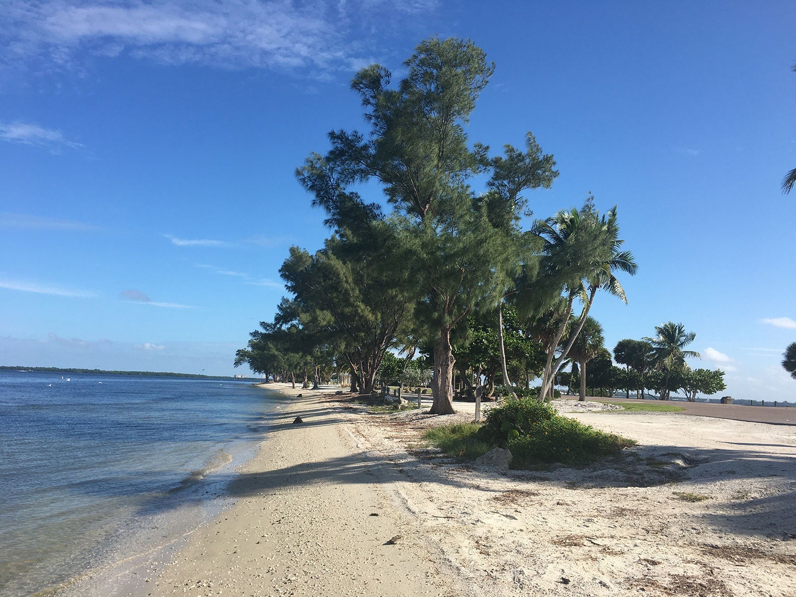 Sanibel Causeway Beaches