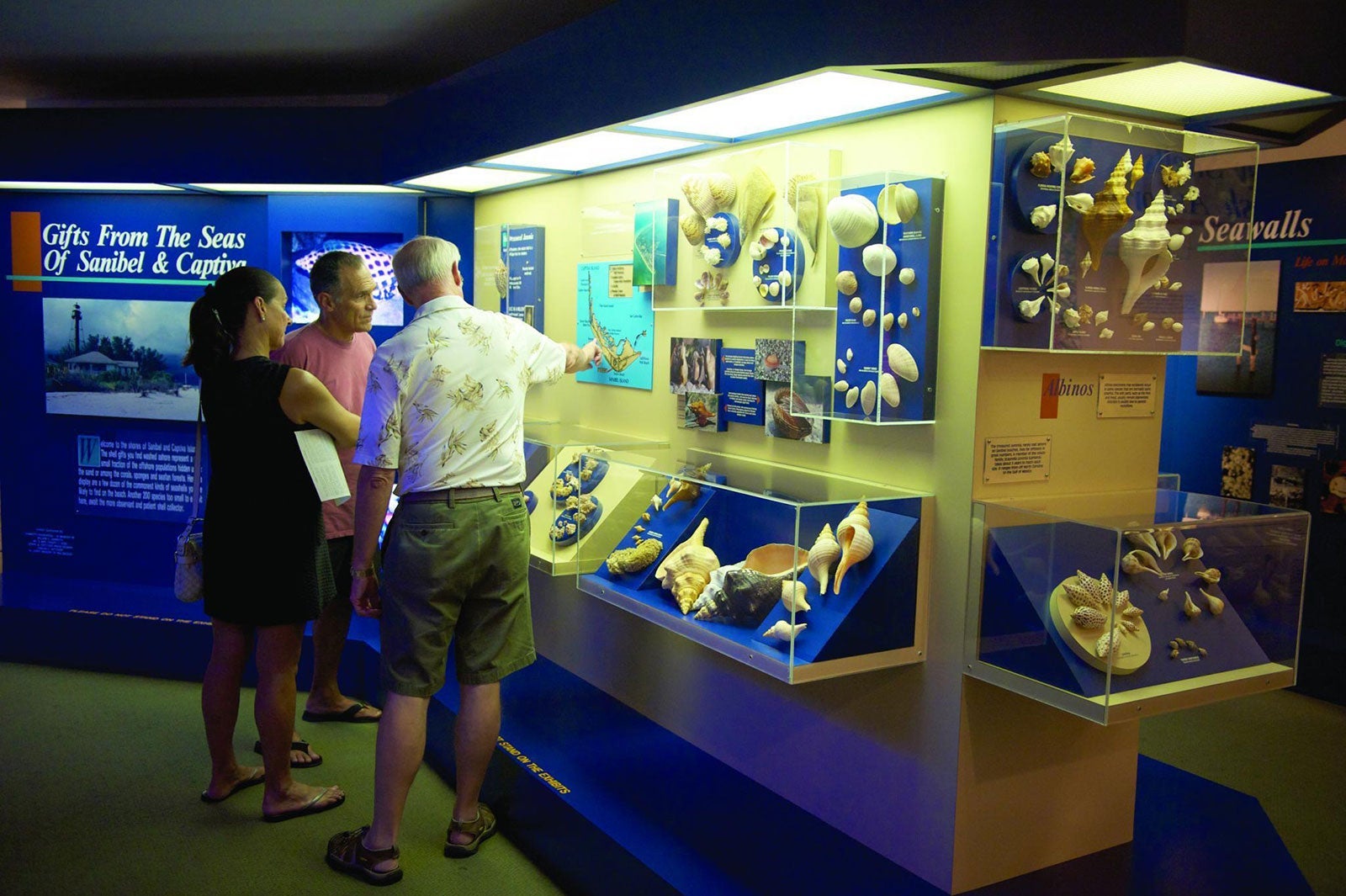 Bailey-Mathews National Shell Museum -- Sanibel, Florida