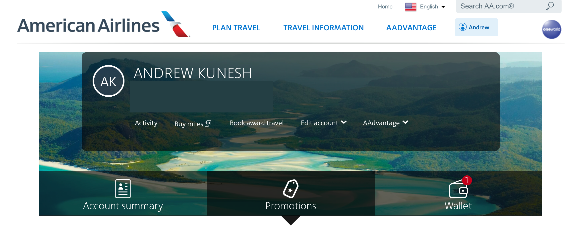 Click on Promotions Tab