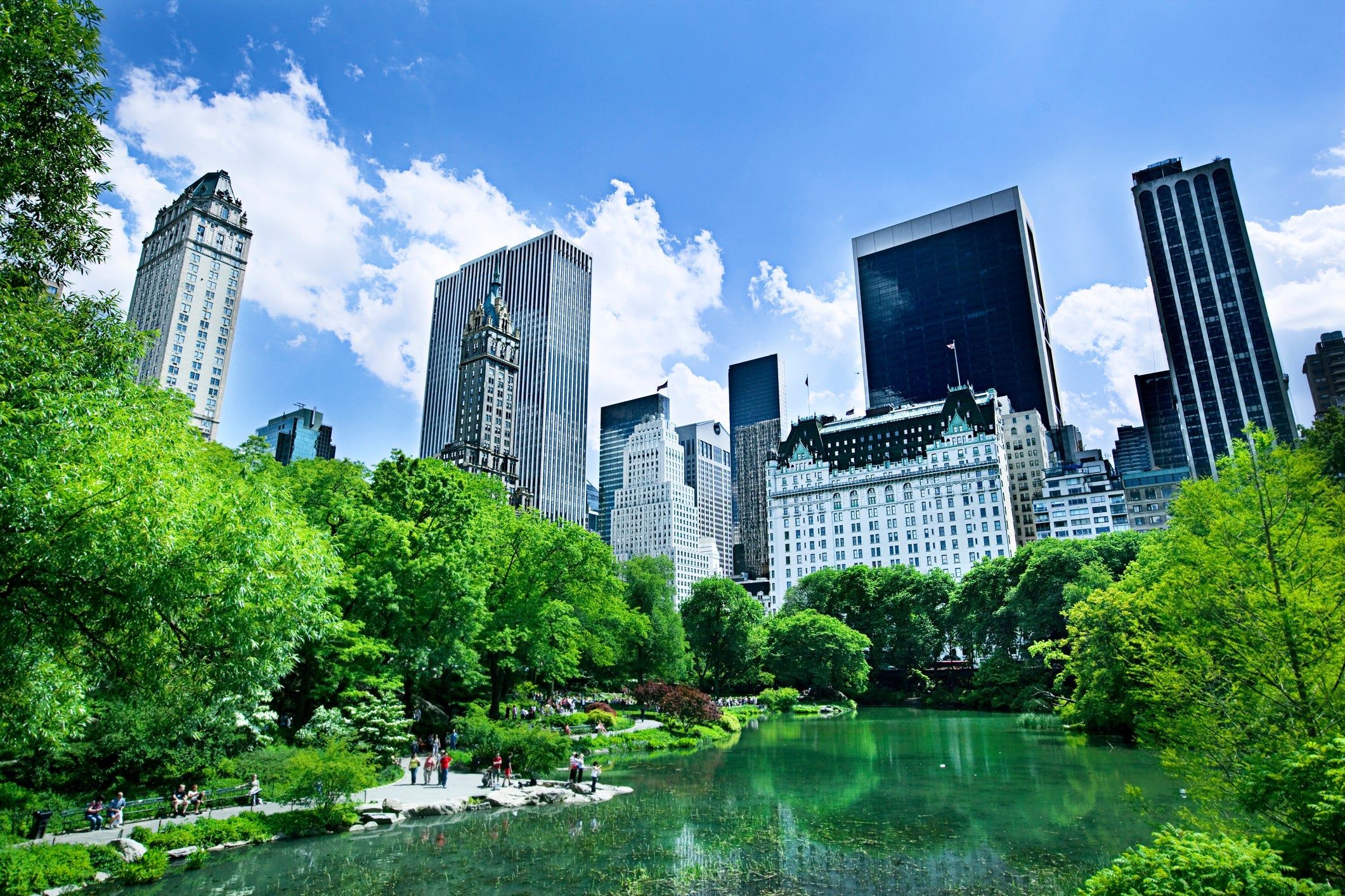 The Plaza New York City