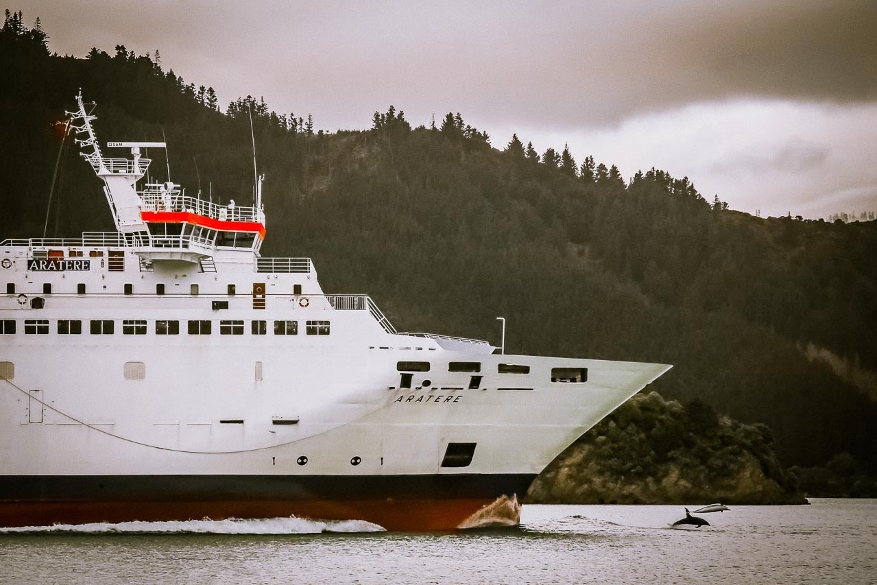 New Zealand's InterIslander