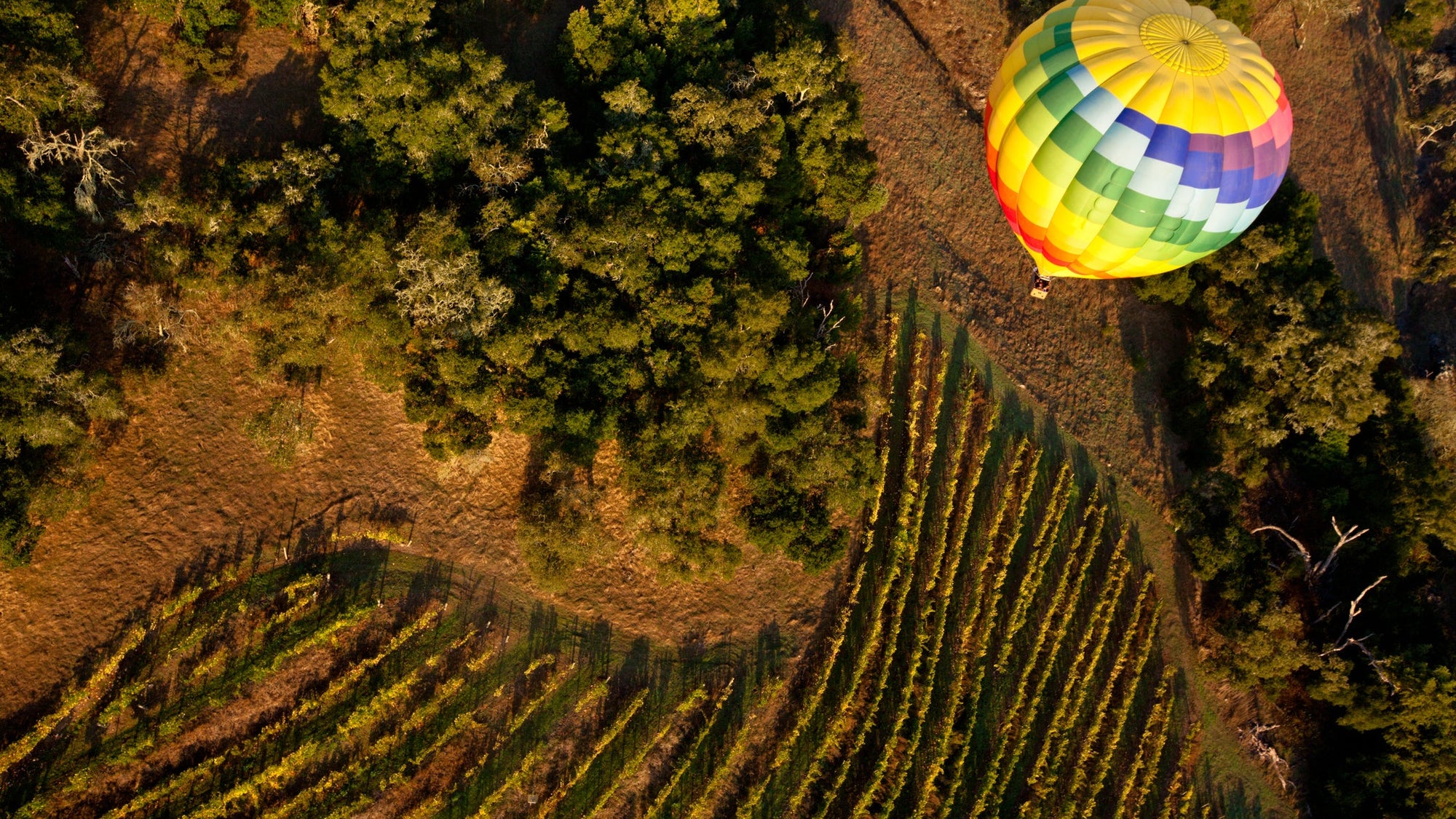 Hot air ballooning over a vineyard in Napa Valley