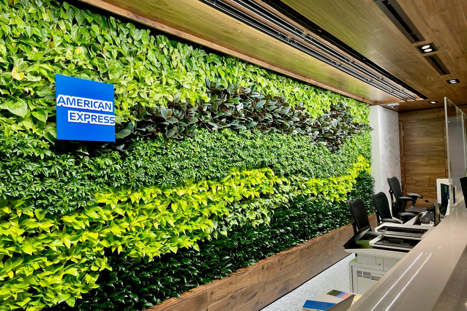 amex lounge