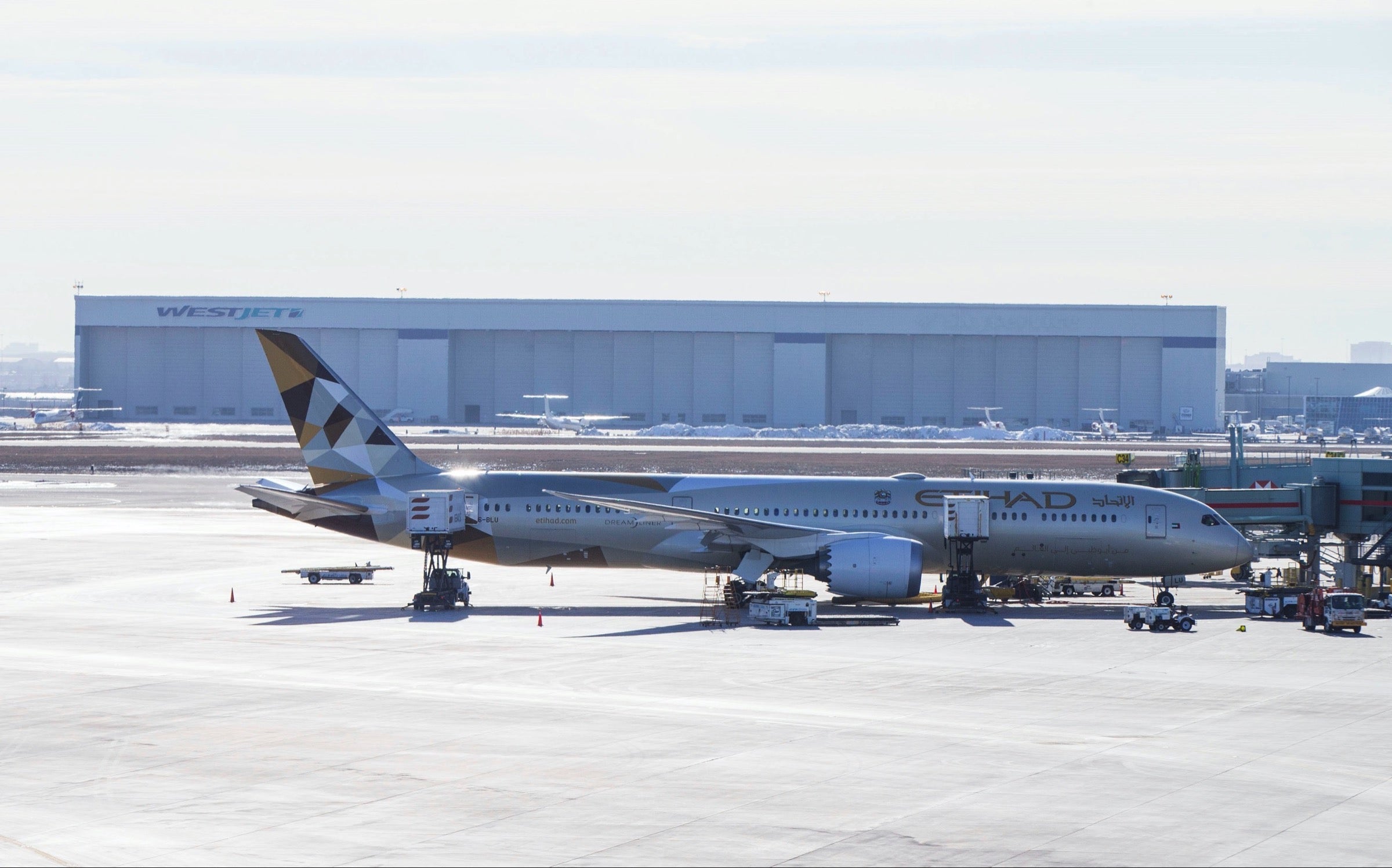 Etihad 787
