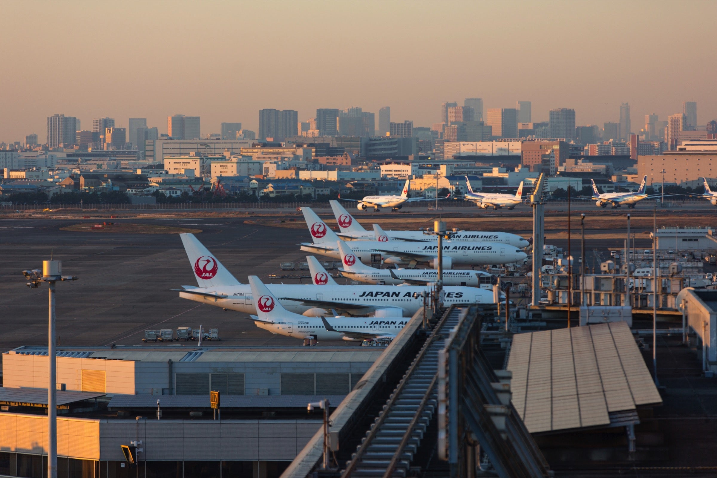 JAL airplanes at Tokyo-Haneda airport