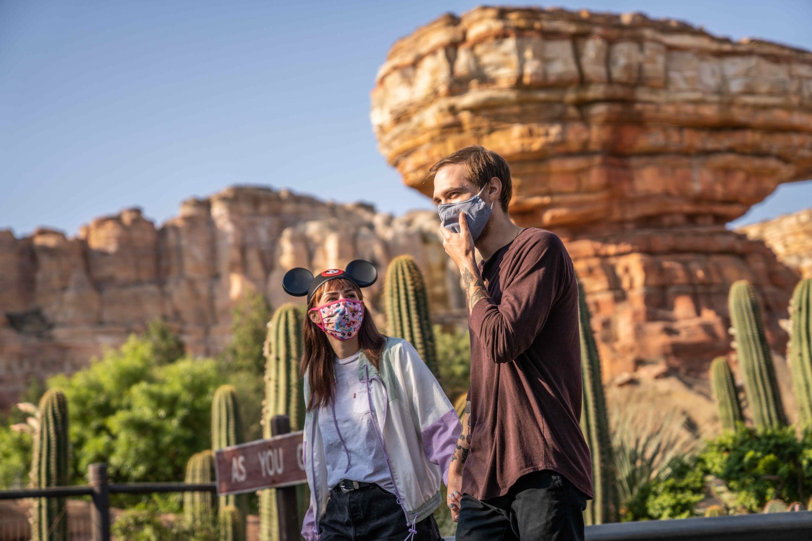 Disneyland face masks