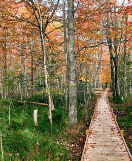 The best US national parks you should visit at least once (or twice)