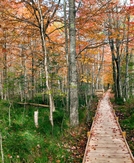 The best US national parks you should visit at least once (or twice)