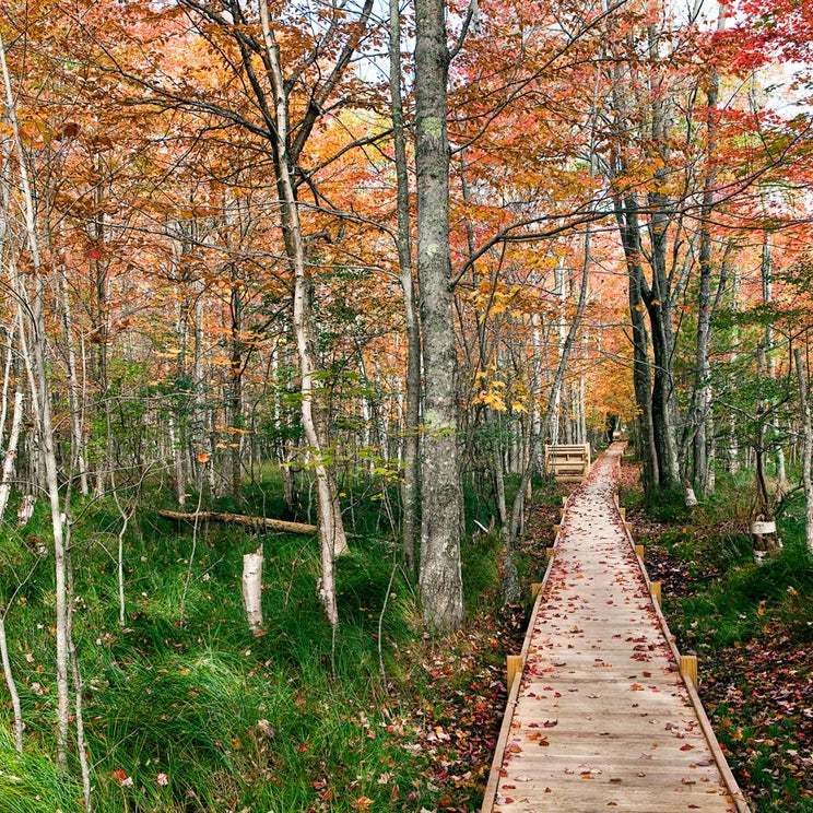 The best US national parks you should visit at least once (or twice)