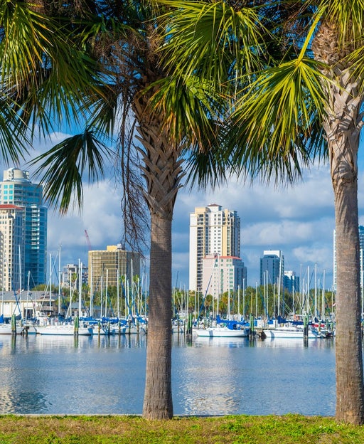 How to protect yourself during Florida's ongoing dengue fever outbreak