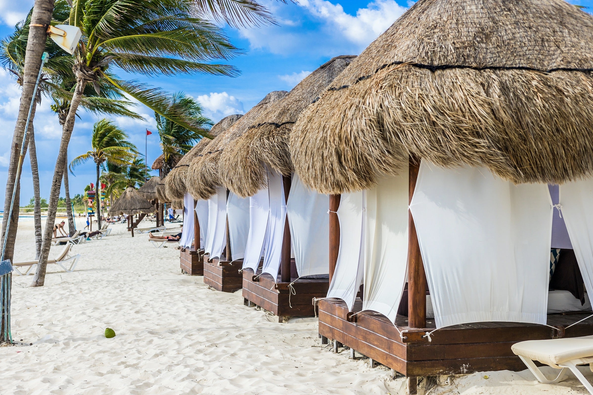 grass-roofed cabanas on a beach