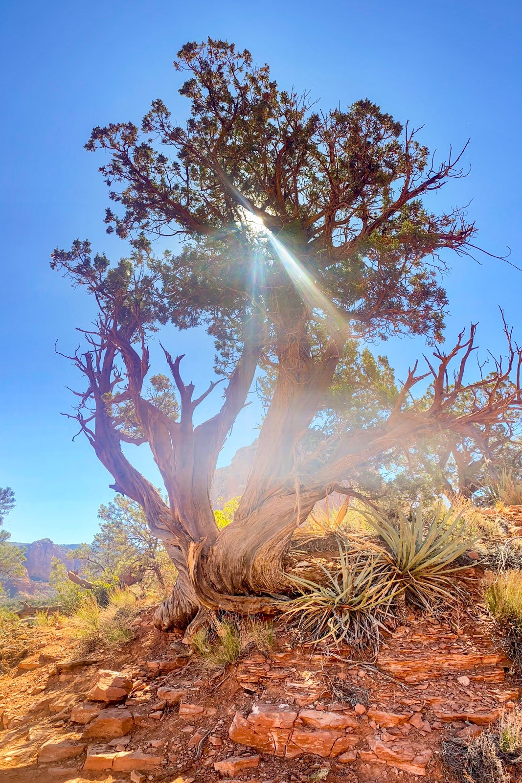 Bell Rock hike - Sedona, Arizona