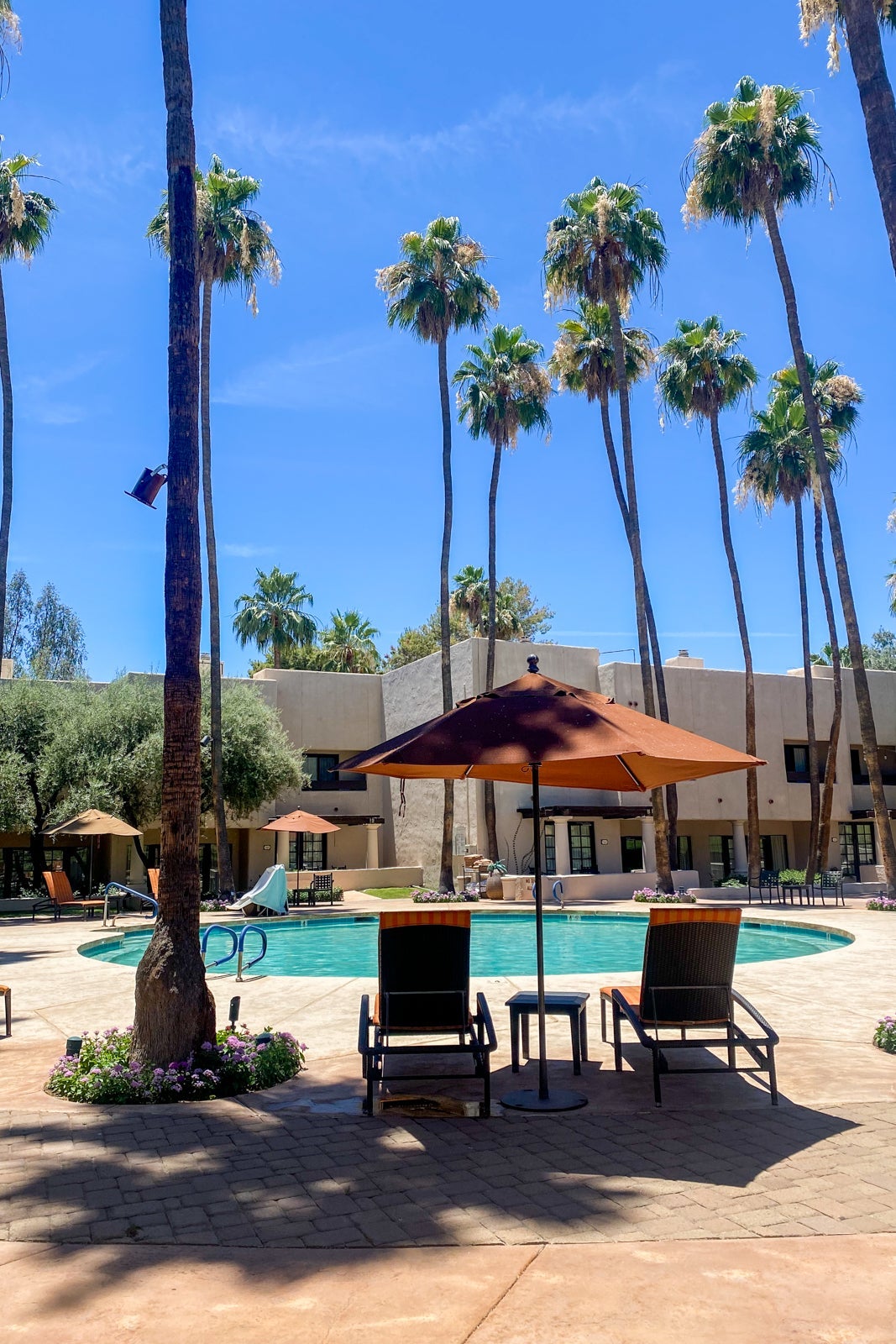 The Scottsdale Resort at McCormick Ranch pool