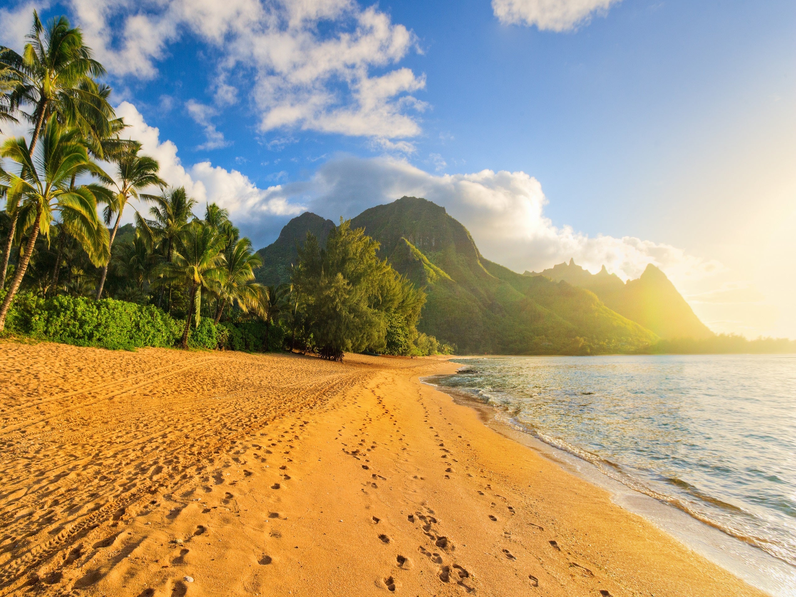 Tropical beach with palm trees at sunset in Hanalei, Kauai, Hawaii