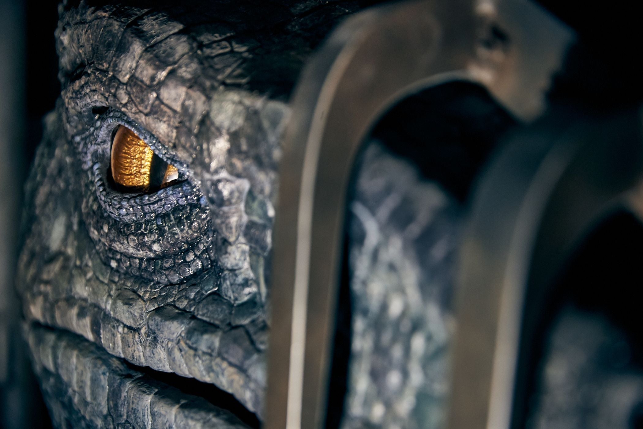 lifelike animatronic velociraptor at Jurassic World Velocicoaster