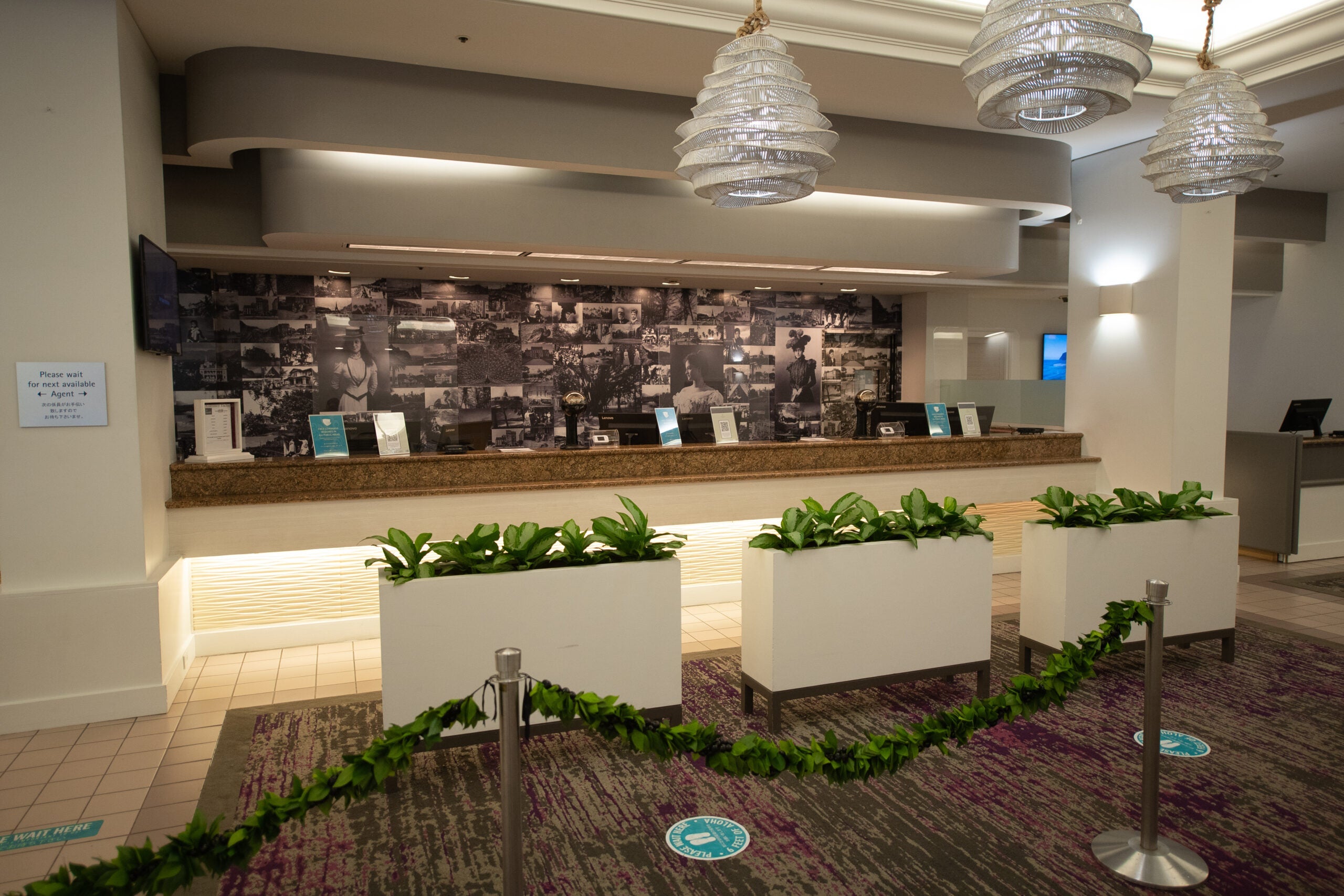 Marriott front desk with chandeliers and plants