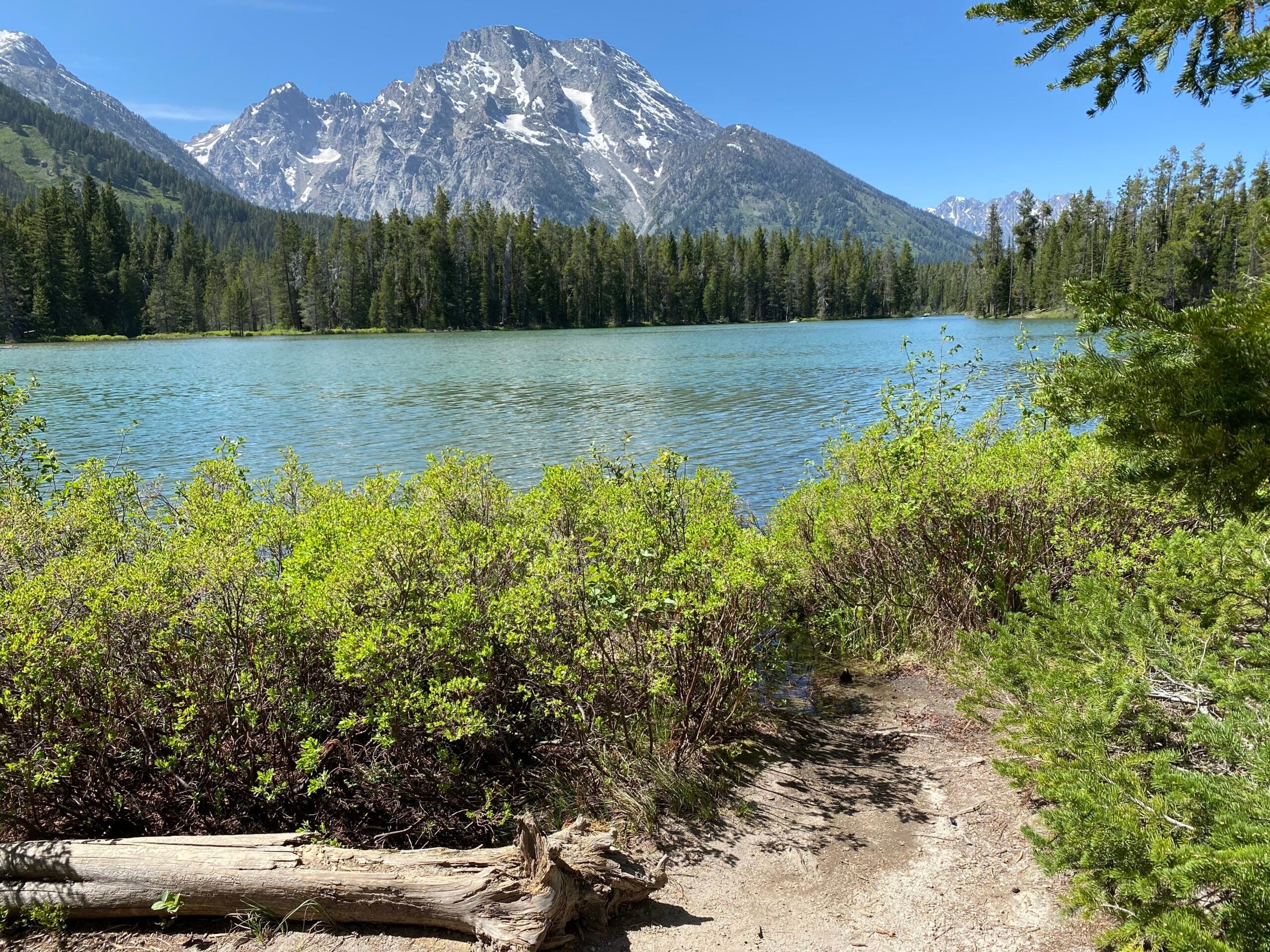 Grand tetons lake