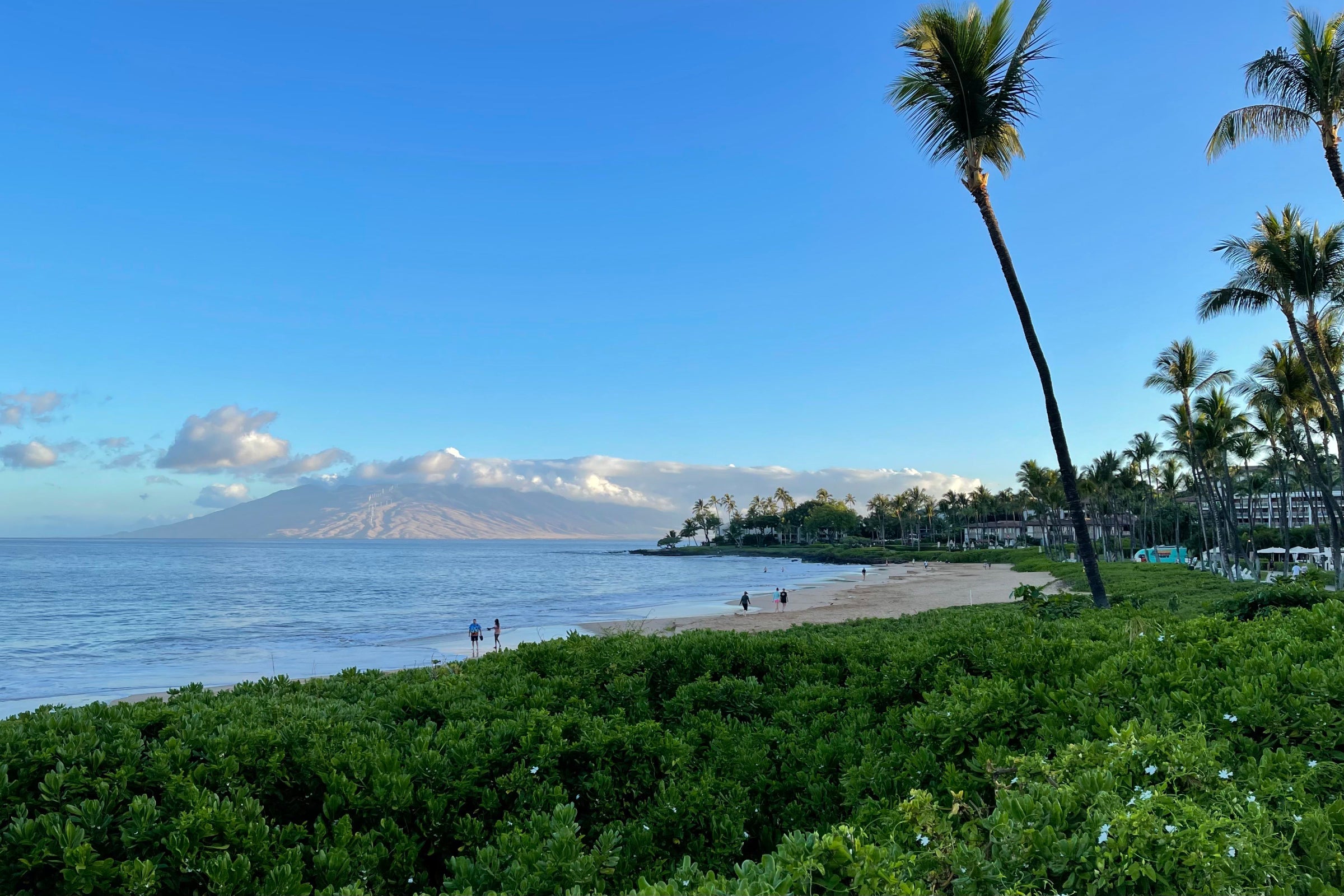 Beach on Maui