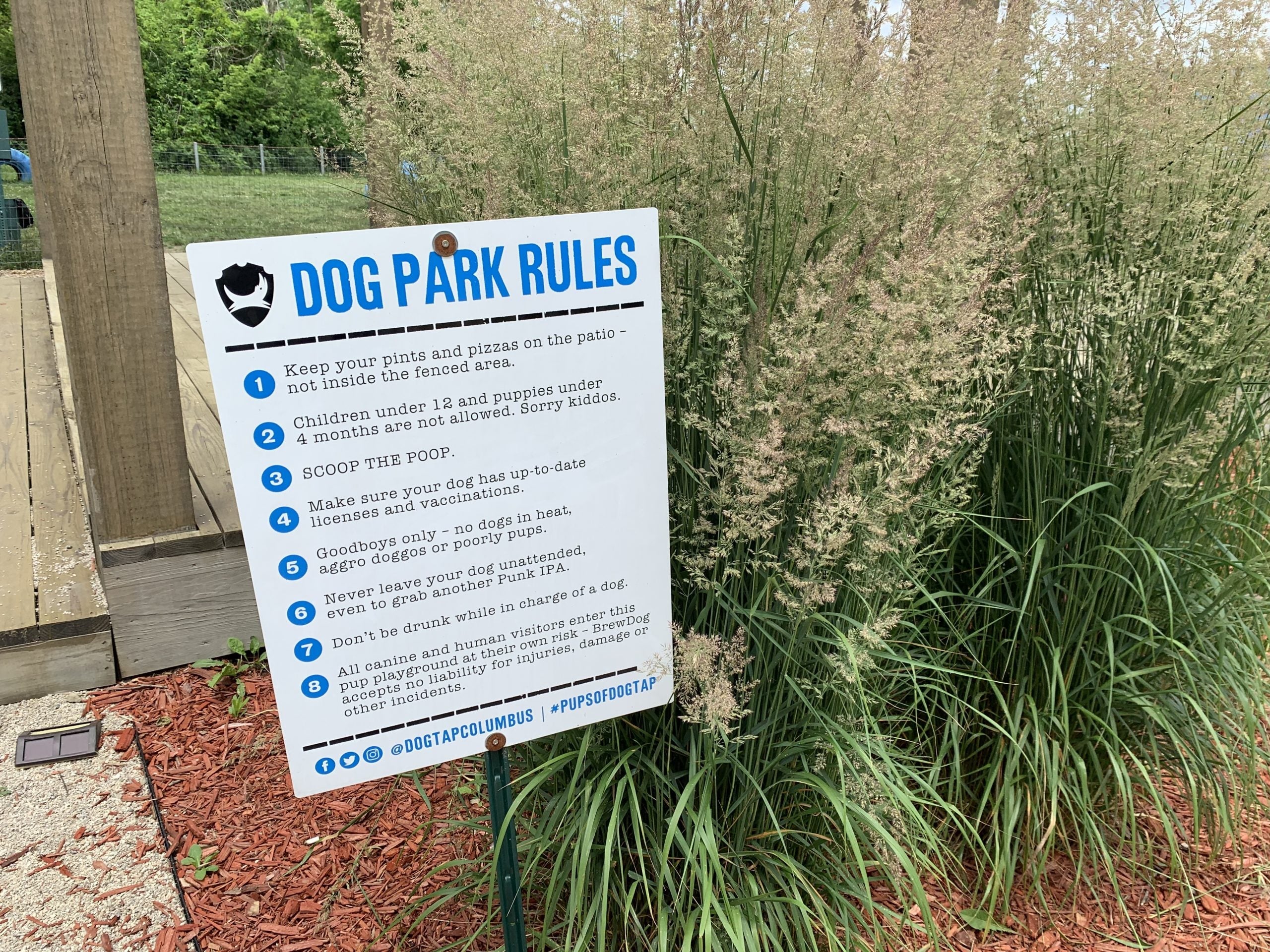 The Dog Park.