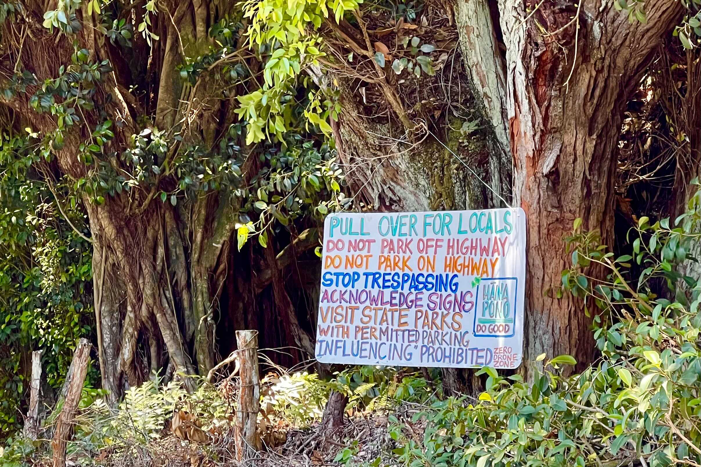 Colorful road sign along the Road to Hana