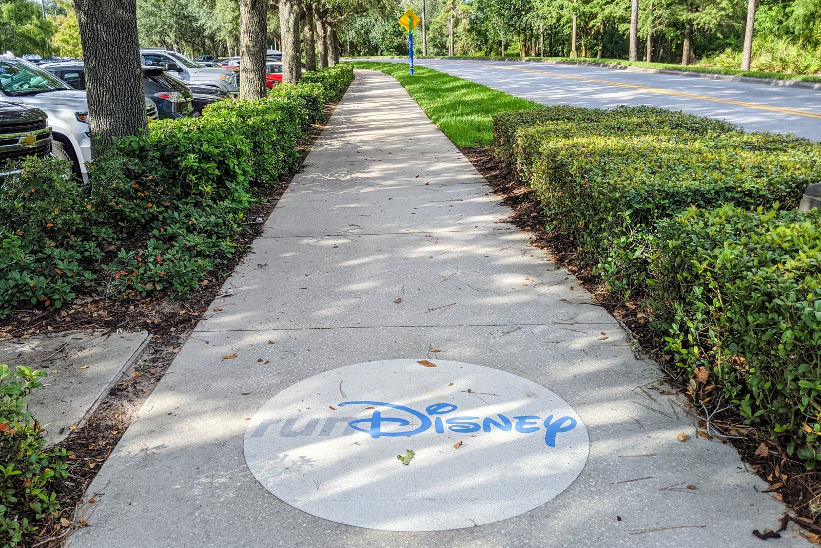 Run Disney marking on a jogging trail near Disney's All-Star Movies Resort