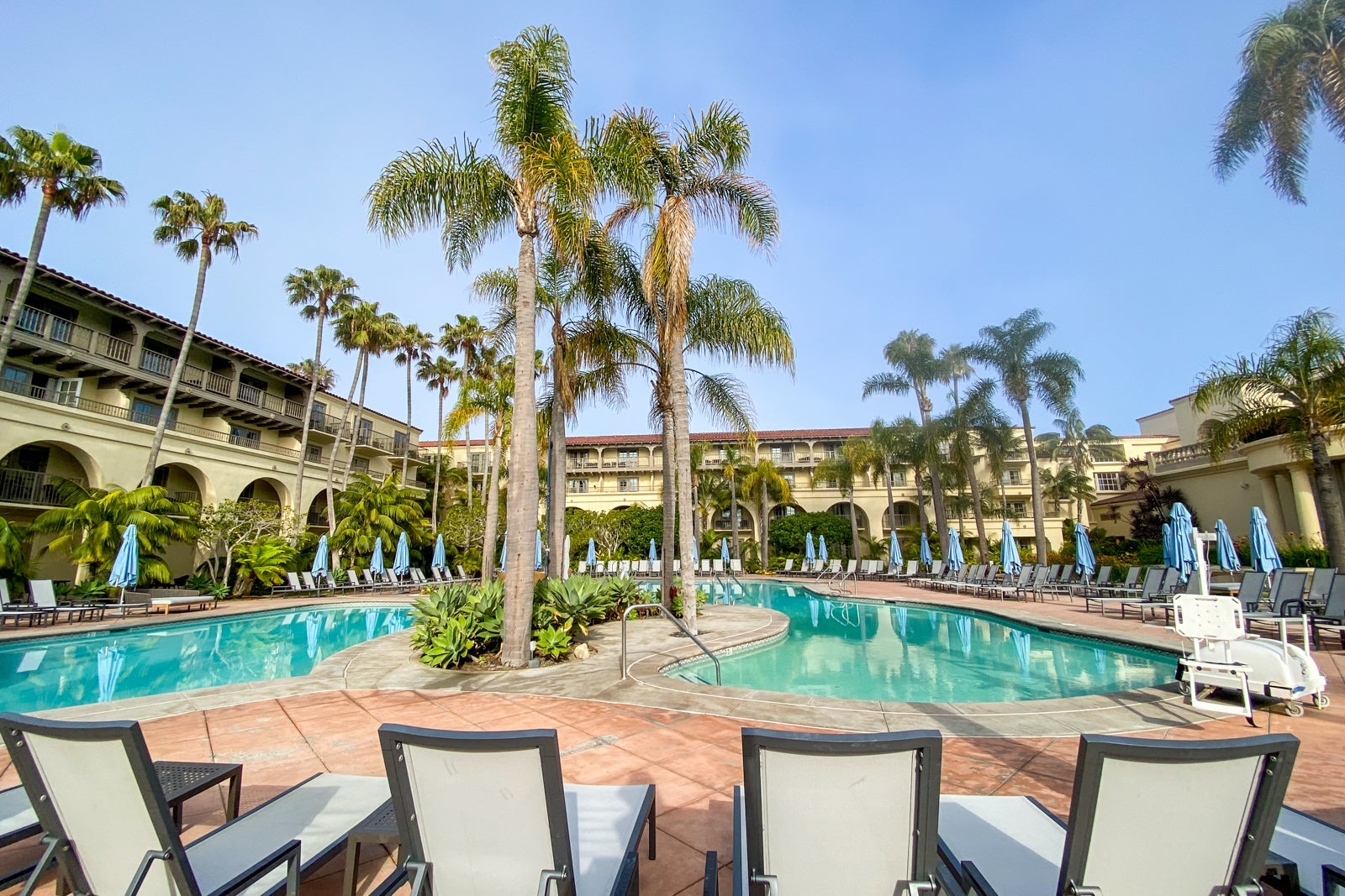 Hotel pool on a sunny day, surrounded by loungers with palm trees and building in the background