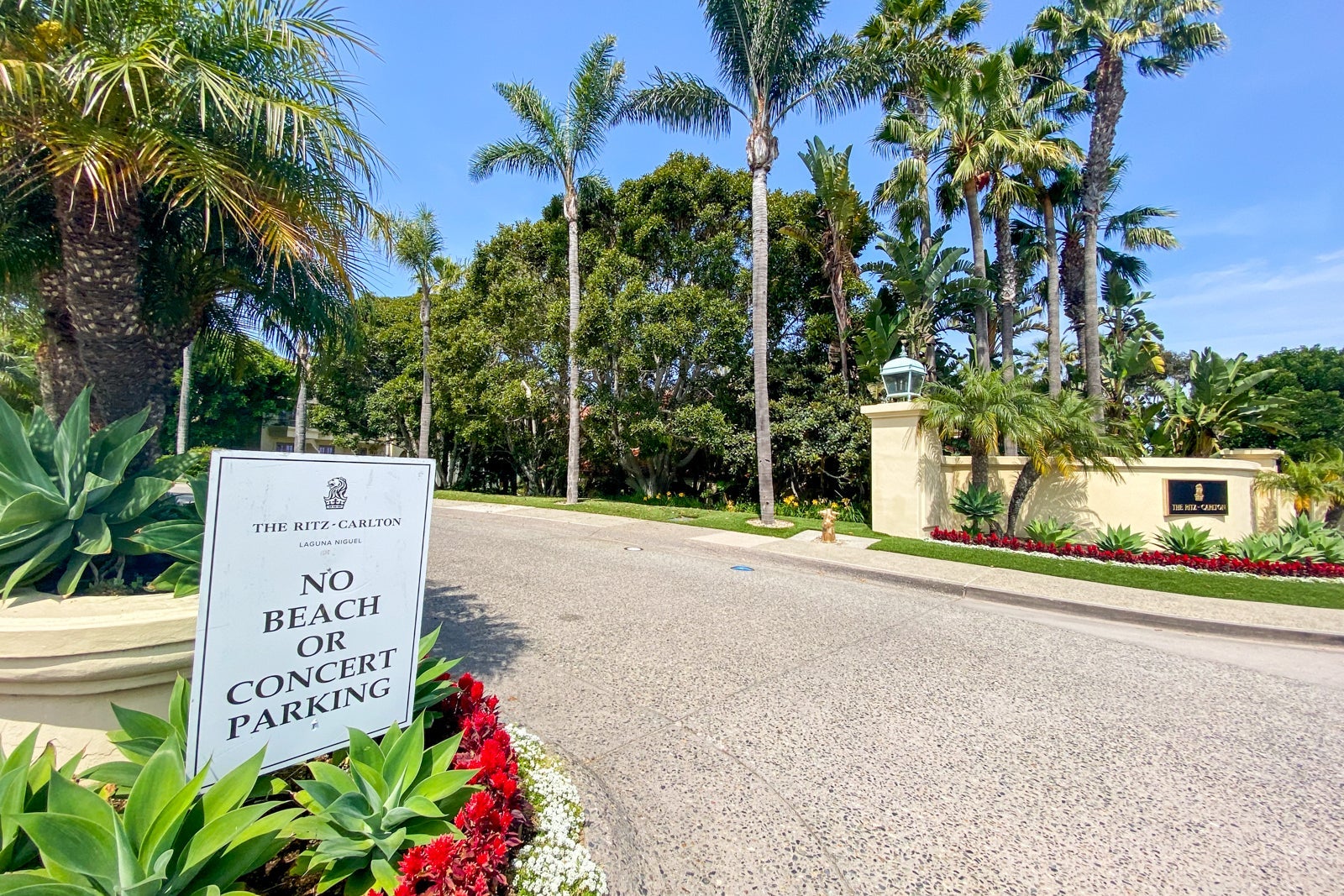 Driveway lined with palm trees
