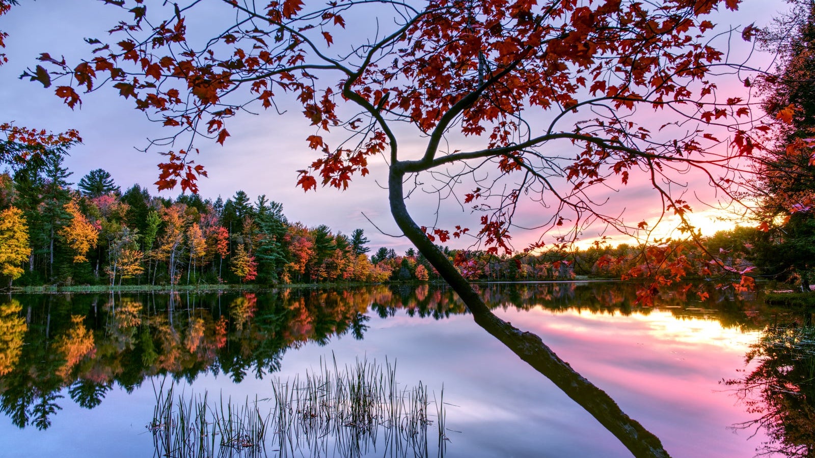 Scenic View Of Lake Against Sky During Autumn