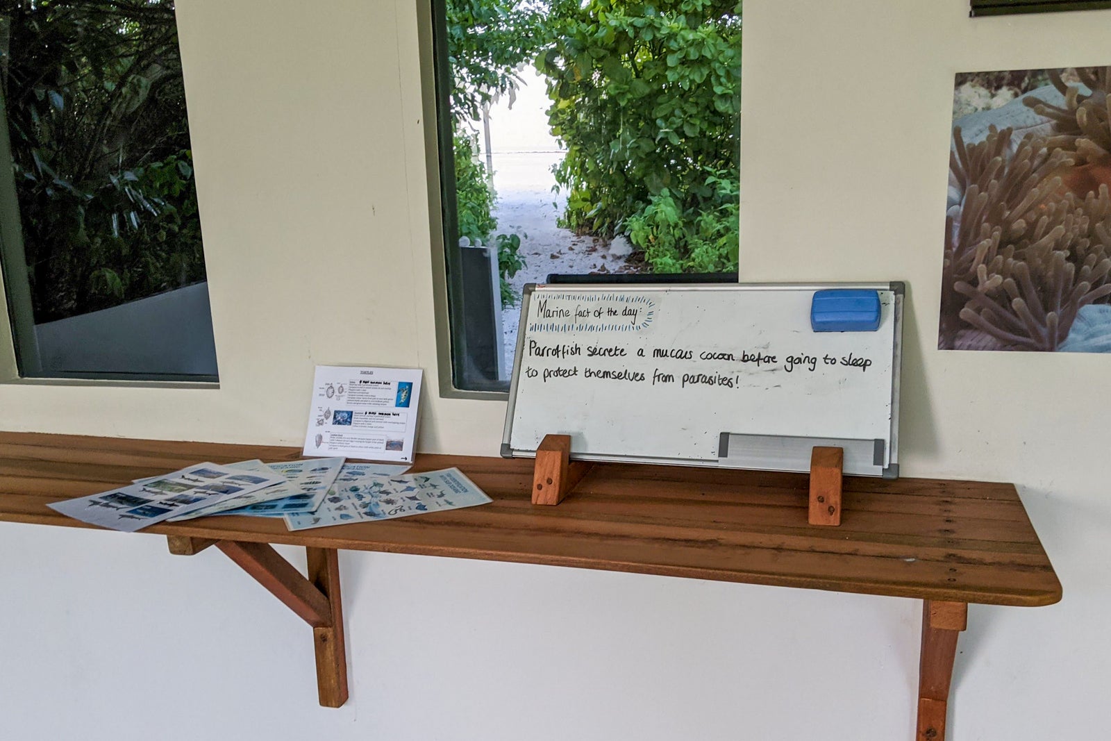 Marine fact of the day