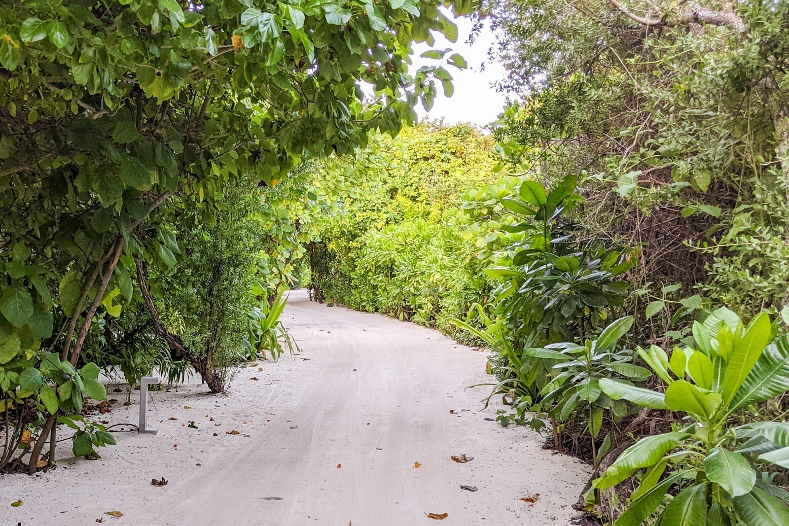 Sand paths at the Le Meridien Maldives